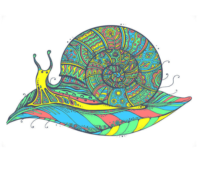 Colorful snail with intricate patterns on a white background