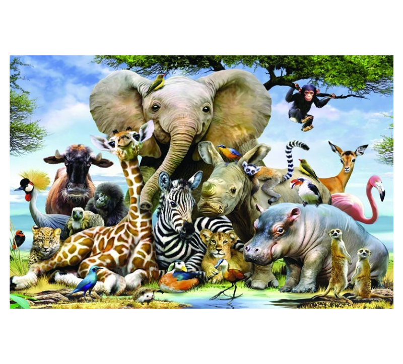Scenic Wonders 1000-Piece Puzzle
